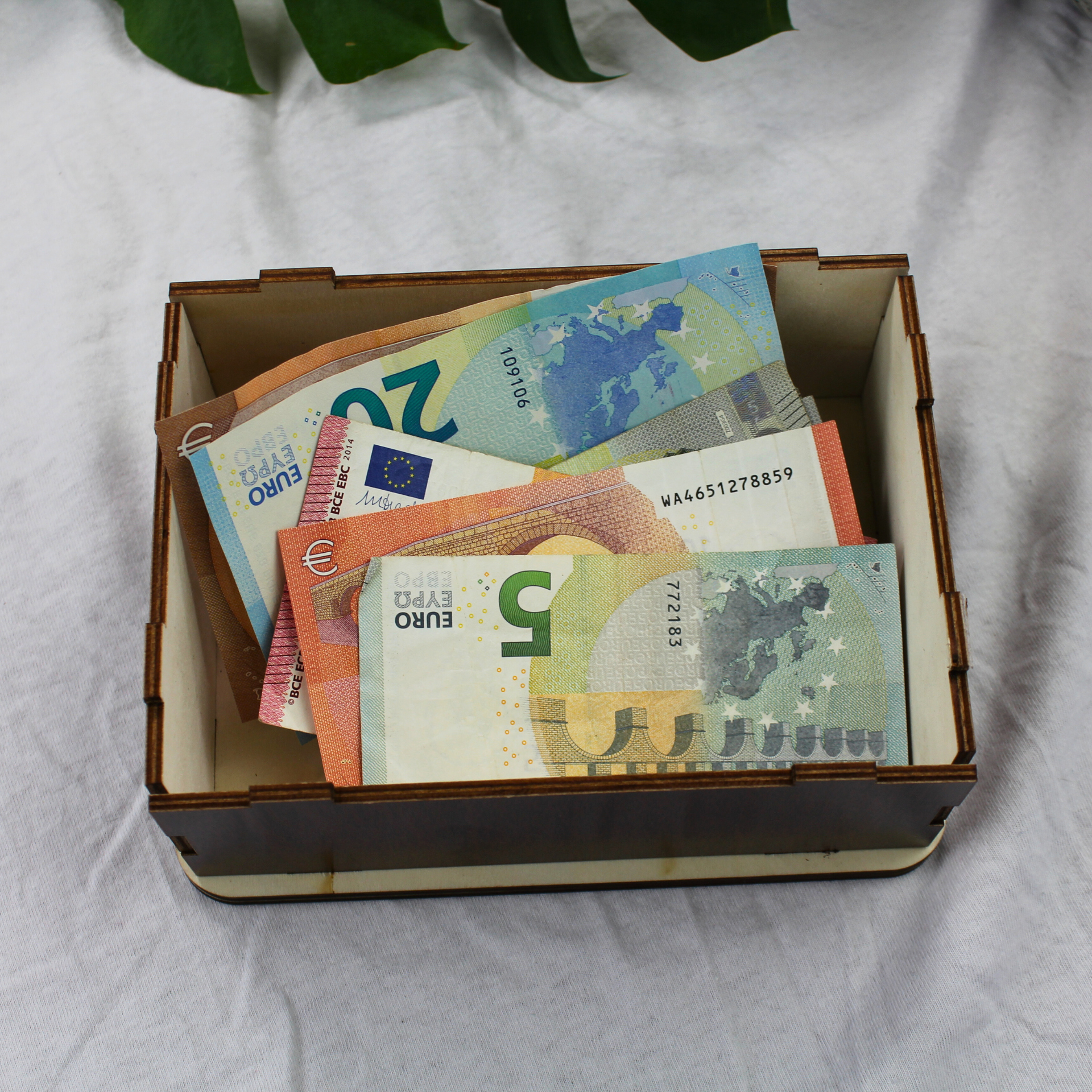Sparbox offen mit Geld