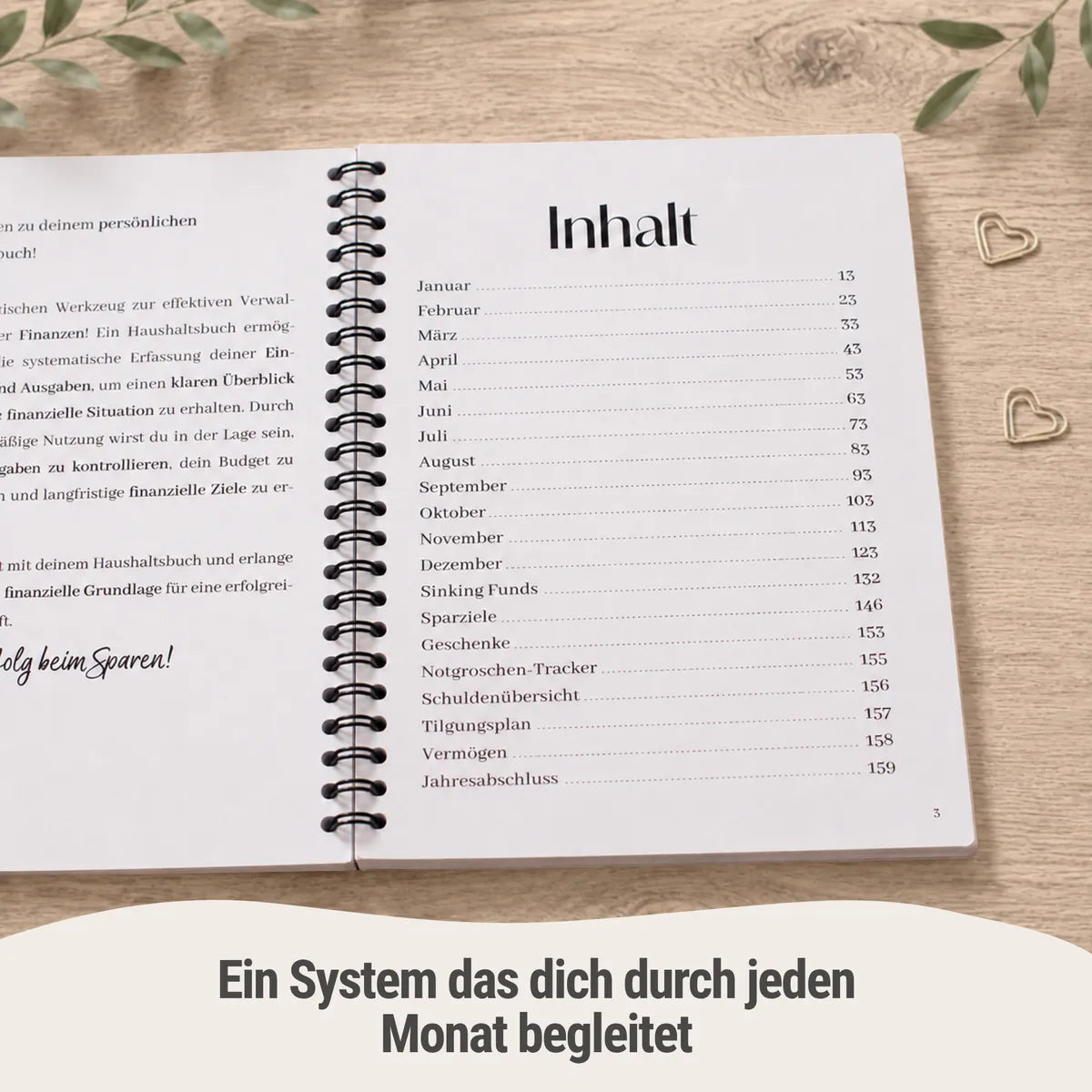 Budget Planer Minimalistisch Vorteil